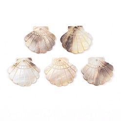 Морская Ракушка Резные подвески из натуральных пресноводных ракушек, , цвет морской раковины, 25~26x27~28x1.5~2.5 мм, отверстие : 2 мм