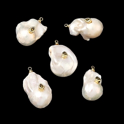 Коричневый Подвески из латуни и перламутра с микропаве из кубического циркония, самородки очарование, долговечный, стойки покрытие, без свинца и без кадмия, реальный 18 k позолоченный, кофе, 22~28x13~15x13~16 мм, отверстие : 1.8 мм