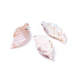 Раковина Пресноводных оболочки большие кулоны, лист, 53~55x22~24x6~8 мм, отверстие : 0.8 мм