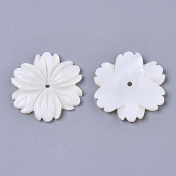 Creamy White Natural Freshwater Shell Beads, Carved, Flower, Creamy White, 29~30x28x3mm, Hole: 1.8mm