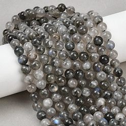 Лабрадорита Природные лабрадорита бисер нитей, круглые, 7~7.5 мм, отверстие : 1.2 мм, около 55~56 шт / нитка, 15.35''~15.55'' (39~39.5 см)