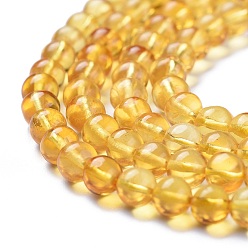 Amber Natural Amber Beads Strands, Round, 5~5.5mm, Hole: 0.5mm, about 159pcs/Strand, 30.31 inch(77cm)