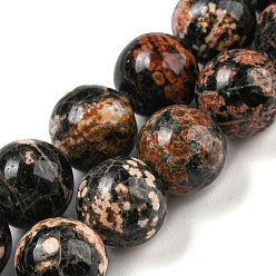 Obsidienne De Flocon De Neige Brins de perles rondes en obsidienne flocon de neige rouge naturel, 10mm, Trou: 0.9mm, Environ 38~40 pcs/chapelet, 15.47''~15.87'' (39.3~40.3 cm)