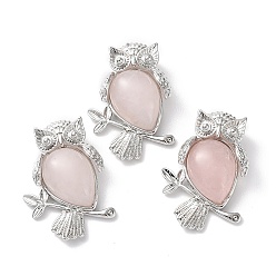 Латунь Подвеска-капля из натурального розового кварца со стразами, подвески в виде совы из латуни с платиновым покрытием, долговечный, пригодный для стразов 1.8 мм, 34.5x24x7.5~8 мм, отверстие : 5x3 мм