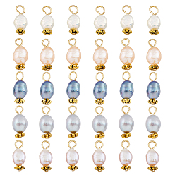 (52) Непрозрачная лаванда 30шт 5 красит натуральный пресноводный рис в скорлупе, с золотым оттенком 304 петли из нержавеющей стали, разноцветные, 14~15x4.5~6 мм, отверстие : 2 мм, 6 шт / цвет