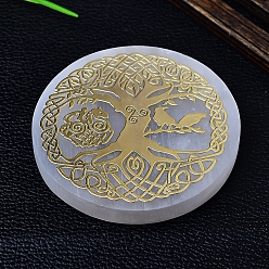 Дерево Натуральный марокканский гипсовый коврик для чашки скульптура витрина украшения, для домашнего офисного стола, дерево, 63x6 мм