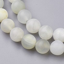 White Moonstone Natural White Moonstone Beads Strands, Frosted, Round, 7~8.5mm, Hole: 0.5mm, about 46pcs/strand, 14.9 inch(38cm)