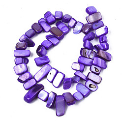 Blue Violet Natural Trochid Shell/Trochus Shell Beads Strands, Dyed, Rectangle, Blue Violet, 6~11x6~36x1~7mm, Hole: 1mm, about 45~55pcs/strand, 14.96 inch~15.35 inch(38cm~39cm)