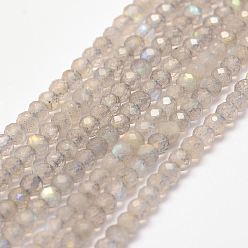 Labradorite Natural Labradorite Bead Strands, Faceted, Rondelle, 4x3mm, Hole: 1mm, about 102pcs/strand, 15.5 inch