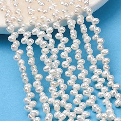 Old Lace Natural Cultured Freshwater Pearl Beads Strands, Top Drilled, Rice, Grade 4A+, Old Lace, 3.5~4mm, Hole: 0.5mm, about 100pcs/strand, 14.96''(38cm)