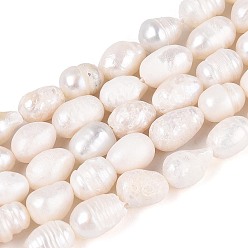 Морская Ракушка Нити из натурального культивированного пресноводного жемчуга, рис, цвет морской раковины, 6~10x5~6 мм, отверстие : 0.6 мм, около 44~45 шт / нитка, 13.58~13.98 дюйм (34.5~35.5 см)