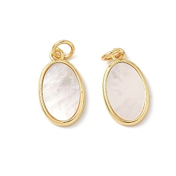 Oval Подвески из латуни из натуральных ракушек, с прыжковых колец, реальный 18 k позолоченный, без свинца и без кадмия, долговечный, стойки покрытие, цвет морской раковины, овальные, 17.5x10x2 мм, отверстие : 3 мм