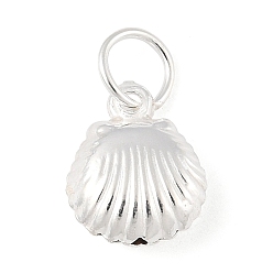 Серебро Подвески из чистого серебра в форме полых ракушек с соединительными кольцами, серебряные, 13.5x8x3.5 мм, отверстие : 3.5 мм