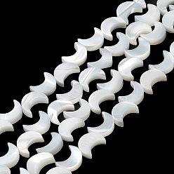 Snow Natural Trochus Shell Beads Strands, Moon, Snow, 8x6.5x2.5mm, Hole: 0.8mm, about 50pcs/strand, 15.16''~15.55''(38.5~39.5cm)