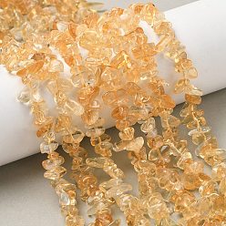 Желтый Кварц Природный желтый кварц нитей бисера, чипсы, 5~7.5 мм, отверстие : 0.7 мм, 15.16''~15.47'' (38.5~39.3 см)