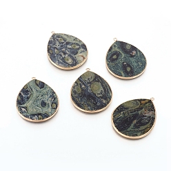 Kambaba Jasper Natural Kambaba Jasper Pendants, with Brass Findings, Teardrop, Golden, 42~44x33~35x2.5mm, Hole: 2mm