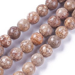 Маифанит Натуральный камень майфанит / майфан, окрашенные, круглые, 10 мм, отверстие : 1.2 мм, около 39~40 шт / нитка, 14.7 дюйм ~ 15.2 дюйм (37.5~38.5 см)