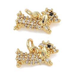 Настоящее золото 18K Латунные микро проложить кубического циркония подвески, собака прелести, без свинца и без кадмия, стойки покрытие, долговечный, реальный 18 k позолоченный, 6.5x11.5x3 мм, Перейти кольцо: 4x0.8 мм, внутренний диаметр: 2.5 мм