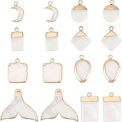 Seashell Color 16Pcs 8 Style Natural Freshwater Shell Pendants, with Golden Plated Brass Findings, Moon & Fishtail & Flat Round & Rectangle & Rhombus & Teardrop & Square, Seashell Color, 2pcs/style