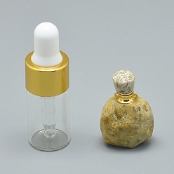 Fossil Coral Natural Fossil Coral Openable Perfume Bottle Pendants, with Brass Findings and Glass Essential Oil Bottles, 30~36x18~20x9.5~16mm, Hole: 0.8mm, Glass Bottle Capacity: 3ml(0.101 fl. oz), Gemstone Capacity: 1ml(0.03 fl. oz)