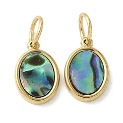 Настоящее золото 18K 304 Подвески из нержавеющей стали с покрытием из натуральной раковины пауа/белой раковины, ионное покрытие (IP), овальные, реальный 18 k позолоченный, 12x8x2 мм, отверстие : 4.5 мм
