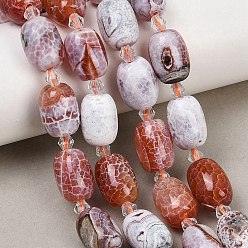 Шоколадный Природные пожары треск агат бисер нитей, окрашенная и подогревом, баррель, с бисером, цвет шоколада, 15.5~16x11.5~12 мм, отверстие : 1.2~1.4 мм, около 19 шт / нитка, 15.55''~15.75'' (39.5~40 см)