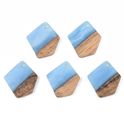 Cornflower Blue Opaque Resin & Walnut Wood Pendants, Polygon, Cornflower Blue, 21x18.5x3mm, Hole: 2mm