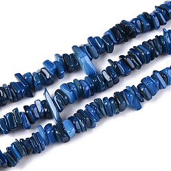 Морской Синий Естественных пресноводных оболочки бисер нитей, окрашенные, самородки, Marine Blue, 6~23x6~7x1.5~4 мм, отверстие : 0.7~0.8 мм, около 158~166 шт / нитка, 15.16~15.55'' (38.5~39.5 см)