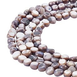 Slate Blue 5 Strands Natural Freshwater Shell Beads Strands, Dyed, Nuggets, Slate Blue, 7~9x7~8x2.5~6mm, Hole: 0.8mm