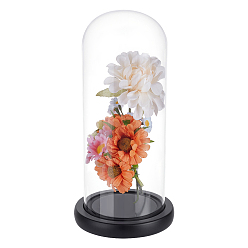 Прозрачный 1PC арочный стеклянный купольный чехол, декоративная витрина, Террариум в виде колокольчика с подставкой из эва, прозрачные, 100x270 мм