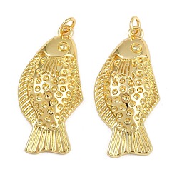 Настоящее золото 18K Латунные подвески, рыбы прелести, с целью перехода в кольце, стойки покрытие, без свинца и без кадмия, долговечный, реальный 18 k позолоченный, 34.5x16x5 мм, отверстие : 3.4 мм