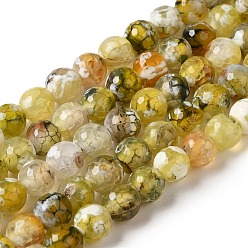 Светло-хаки Нити окрашенных и нагретых натуральных агатовых бус с огненным кракелюром, граненые, круглые, светлый хаки, 8 мм, отверстие : 1.2 мм, около 47 шт / нитка, 14.25'' (36.2 см)