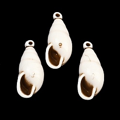 Shell Shape Подвески из непрозрачного акрила, окрашенные распылением, имитация оболочки, подвески в форме раковины, 33x14x13 мм, отверстие : 1.2 мм, Около 180 шт / 500 г