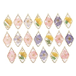 Couleur Mélangete Pendants de résine d'alliage, charmes de losange, avec des fleurs séchées, couleur mixte, 48.5x27.5x2.5mm, Trou: 2mm