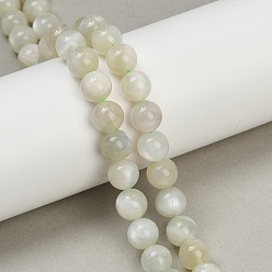 Green Moonstone Нити бусин из натурального зеленого лунного камня, круглые, 8.5~9 мм, отверстие : 1 мм, около 46 шт / нитка, 15.35''~15.51'' (39~39.4 см)