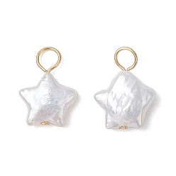 Звезда Натуральные жемчужины кеши подвески, с 304 петлями из нержавеющей стали, кремово-белые, золотые, звезда, 14~15x11x4~5.5 мм, отверстие : 2.7~3.3 мм