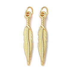 Настоящее золото 18K Латунные подвески, долговечный, без свинца и без кадмия, с целью перехода в кольце, очарование перьев, реальный 18 k позолоченный, 28~28.5x4.5x2 мм