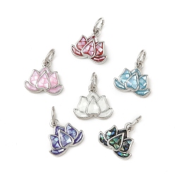 Платина Подвески из латуни и ракушек с покрытием стойки, с эмалью, лотос, долговечный, без кадмия и без свинца, с целью перехода в кольце, платина, 9.5x10.5x2.5 мм, отверстие : 3.4 мм