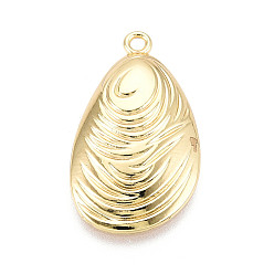 Золотой Подвески из сплава , формы раковины, золотые, 30x17x4 мм, отверстие : 1.8 мм
