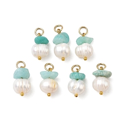 Golden Natural Amazonite and Natural Freshwater Pearl Pendants, Chip and Rice Beaded Charms, Golden, 15~16x9~10x8~9mm, Hole: 3.5mm