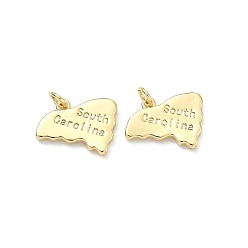 Настоящее золото 18K Латунные подвески, самородки со словом «южная Каролина» очарование, долговечный, стойки покрытие, без свинца и без кадмия, реальный 18 k позолоченный, 16x20x2.5 мм, Перейти кольцо: 5x1 мм, 3 мм внутренним диаметром
