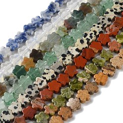 Смешанные камни Нити бусин из опалит/натуральная картинная яшма/голубая пятнистая яшма/индийский агат/далматинская яшма/унакит/клубничный кварц, цветка сливы, 6~6.5x6x2.5 мм, отверстие : 0.7 мм, около 63 шт / нитка, 14.76'' (37.5 см)