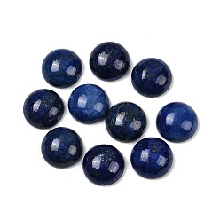 Ляпис-Лазурь Окрашенные естественно купольные / половиной круглые кабошоны ляпис-лазури, 14x6 мм