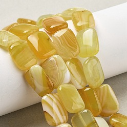 Желтый Агат Естественный желтый агат бисер нитей, окрашенная и подогревом, прямоугольные, 18x13x5 мм, отверстие : 1 мм, около 10~11 шт / нитка, 7.28''~7.87'' (18.5~20 см)