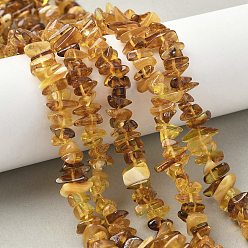 Янтарный Янтарные шарики нити, чип, 8.5~18x5~7x1~5 мм, отверстие : 0.6 мм, 15.35 дюйм (39 см)