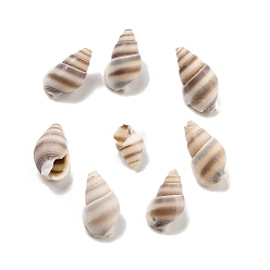 Кокосово-Коричневый Естественно спиральные стеклянные бусы, Центр пробуренной, в форме раковины, кокосового коричневый, 13~17x8~9.5x6.5~9.5 мм, Около 3571 шт / 1000 г
