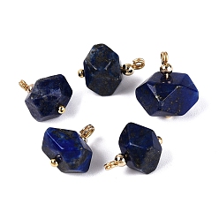 Lapis Lazuli Natural Lapis Lazuli Pendants, Faceted Nuggets Charms, with Golden Tone Brass Findings, 13~15.5x8.5~15x8.5~15mm, Hole: 1.2~1.8mm, about 5pcs/bag