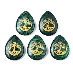 Малахит Синтетического малахита подвески, слеза с рисунком дерева жизни, 32~33.5x25~26x6.5~7.5 мм, отверстие : 2 мм, 6 шт / пакет