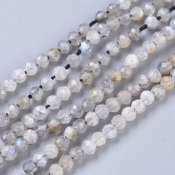 Rainbow Moonstone Бусины из натурального радужного лунного камня, круглые, граненые, 2 мм, отверстие : 0.5 мм, около 170~210 шт / нитка, 15.16~15.94 дюйм (38.5~40.5 см)
