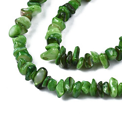Green Natural Freshwater Shell Beads Strands, Dyed, Chips, Green, 2~6x4~14x4.5~8.5mm, Hole: 0.7~0.8mm, about 258~292pcs/strand, 31.10 inch~32.05 inch(79cm~81.4cm)